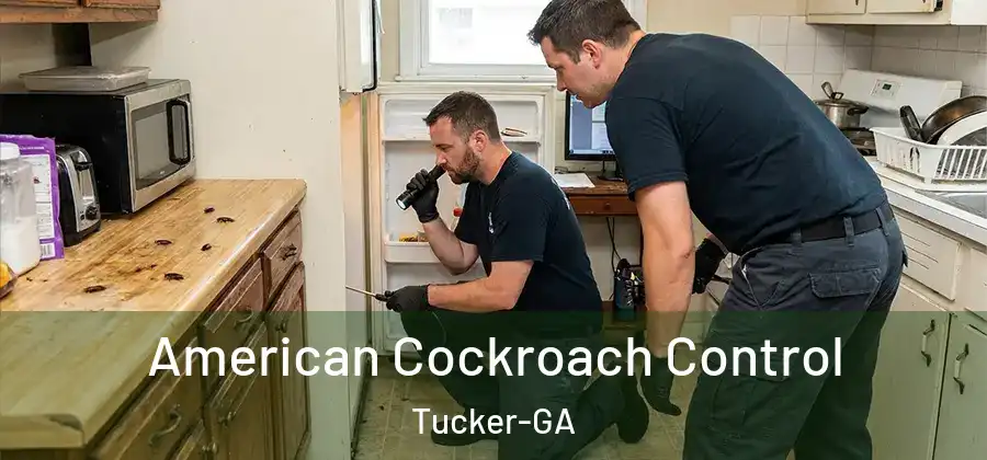  American Cockroach Control Tucker-GA