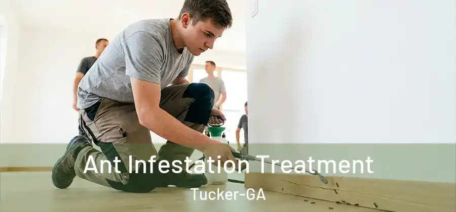 Ant Infestation Treatment Tucker-GA