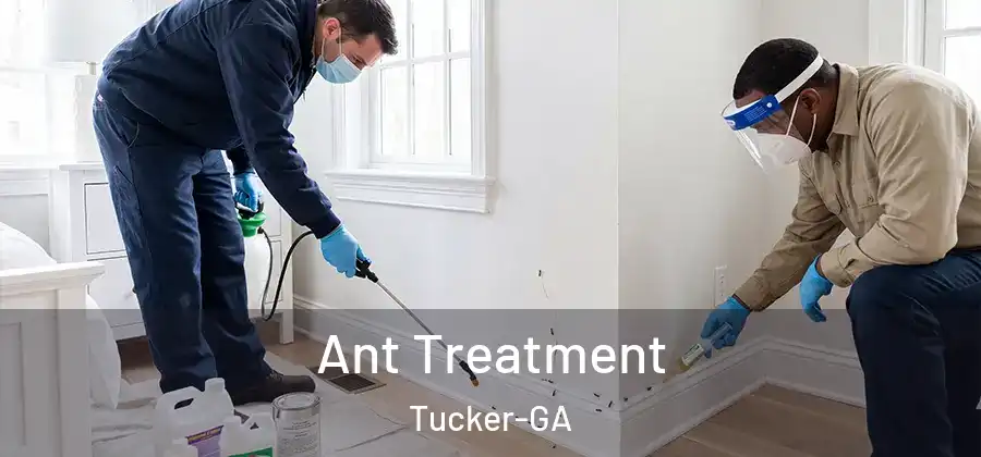  Ant Treatment Tucker-GA