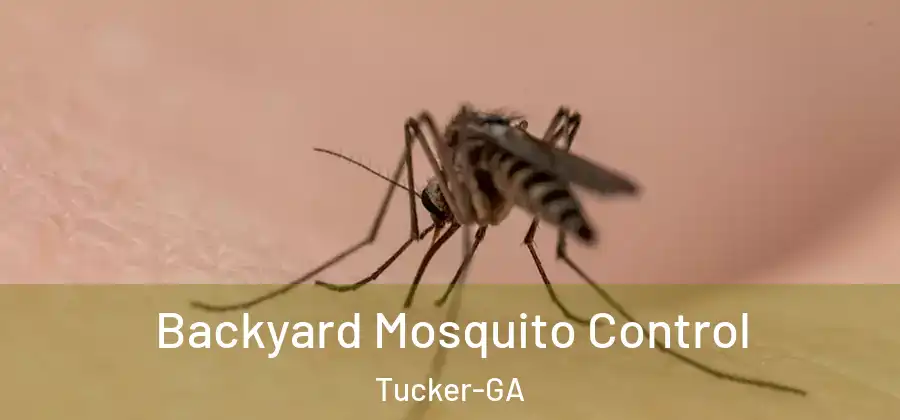  Backyard Mosquito Control Tucker-GA