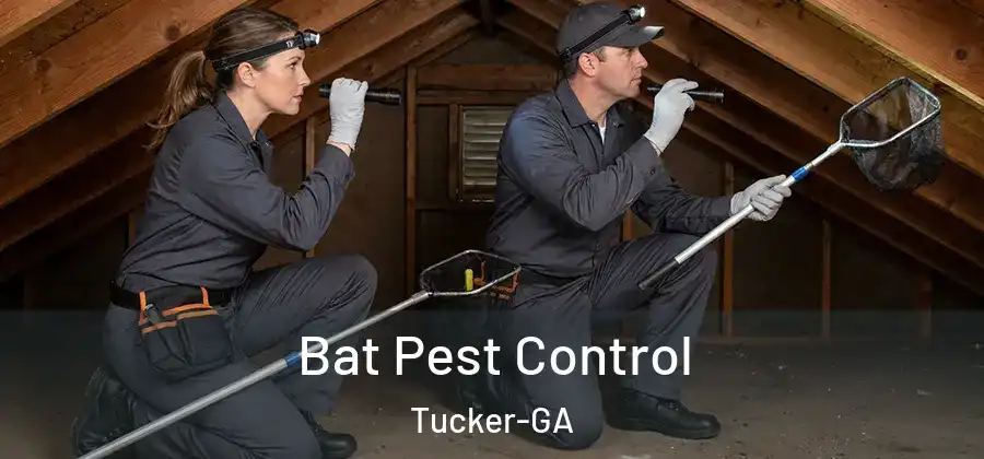  Bat Pest Control Tucker-GA