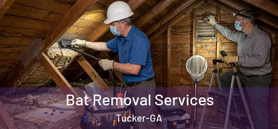  Bat Removal Services Tucker-GA