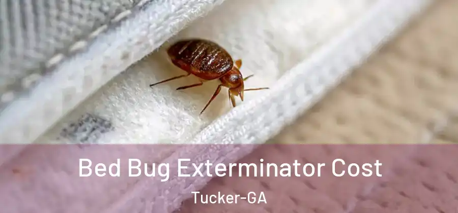  Bed Bug Exterminator Cost Tucker-GA