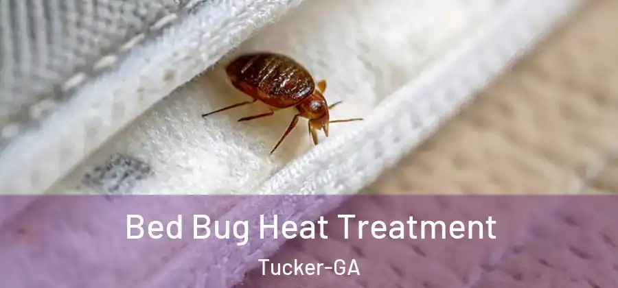 Bed Bug Heat Treatment Tucker-GA