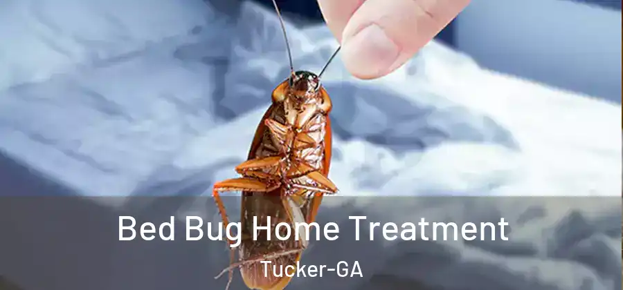 Bed Bug Home Treatment Tucker-GA