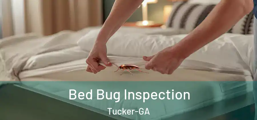  Bed Bug Inspection Tucker-GA