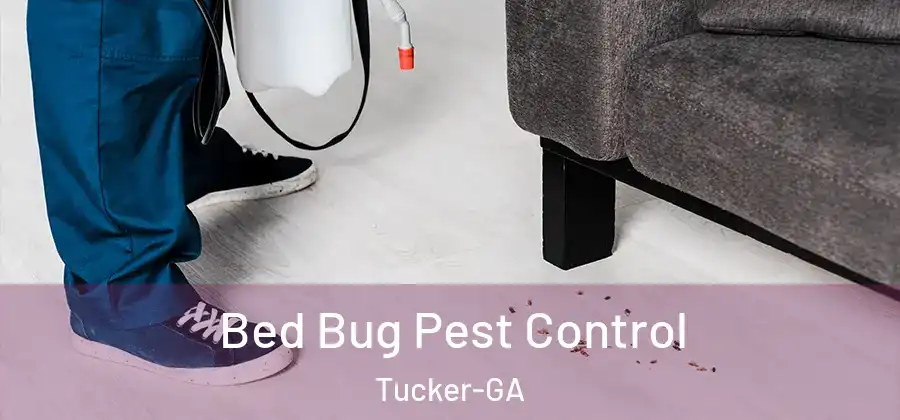  Bed Bug Pest Control Tucker-GA