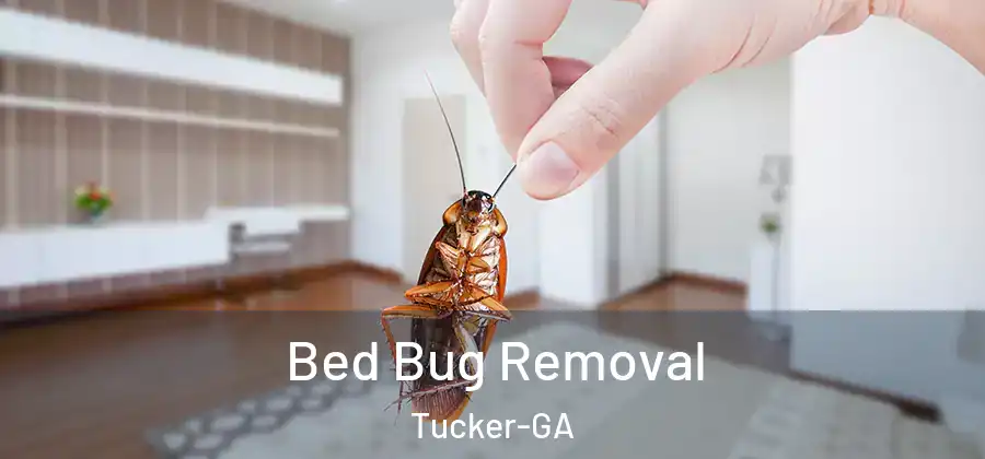 Bed Bug Removal Tucker-GA