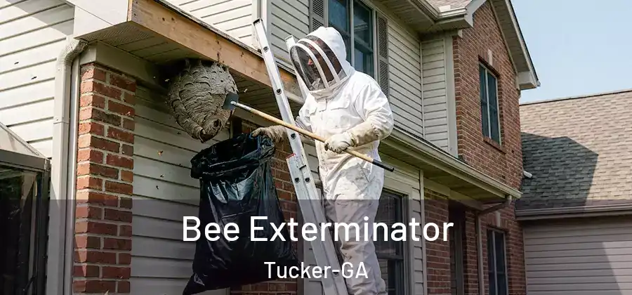 Bee Exterminator Tucker-GA