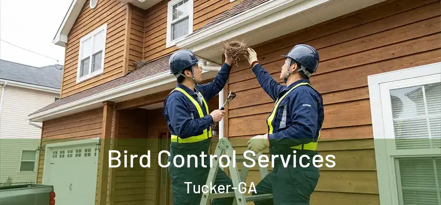 Bird Control Services Tucker-GA