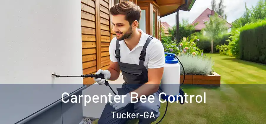  Carpenter Bee Control Tucker-GA