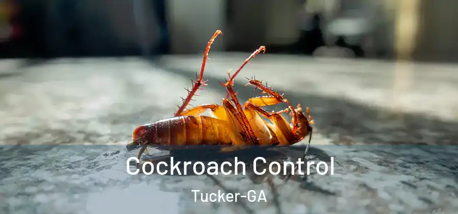 Cockroach Control Tucker-GA