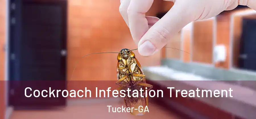  Cockroach Infestation Treatment Tucker-GA