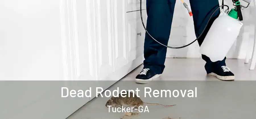  Dead Rodent Removal Tucker-GA