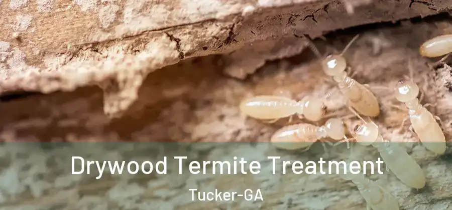 Drywood Termite Treatment Tucker-GA