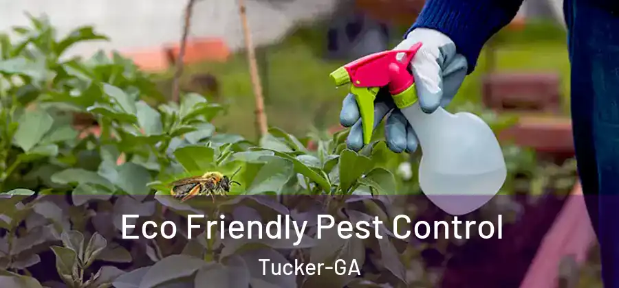 Eco Friendly Pest Control Tucker-GA