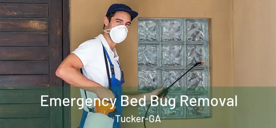  Emergency Bed Bug Removal Tucker-GA