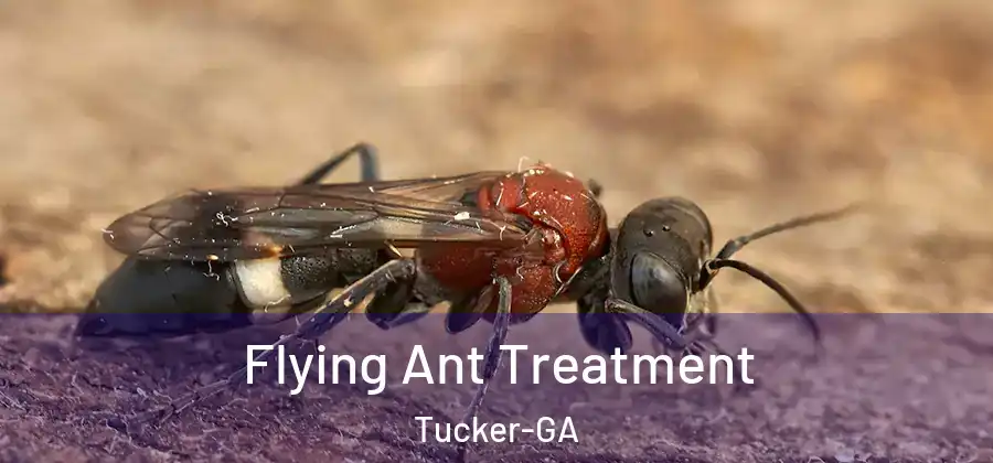  Flying Ant Treatment Tucker-GA