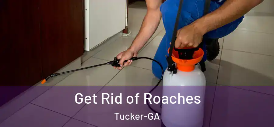 Get Rid of Roaches Tucker-GA