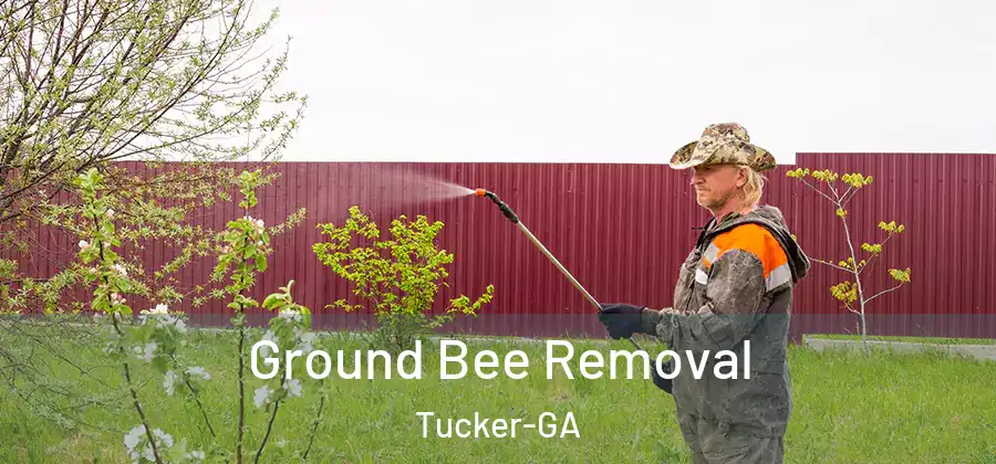  Ground Bee Removal Tucker-GA