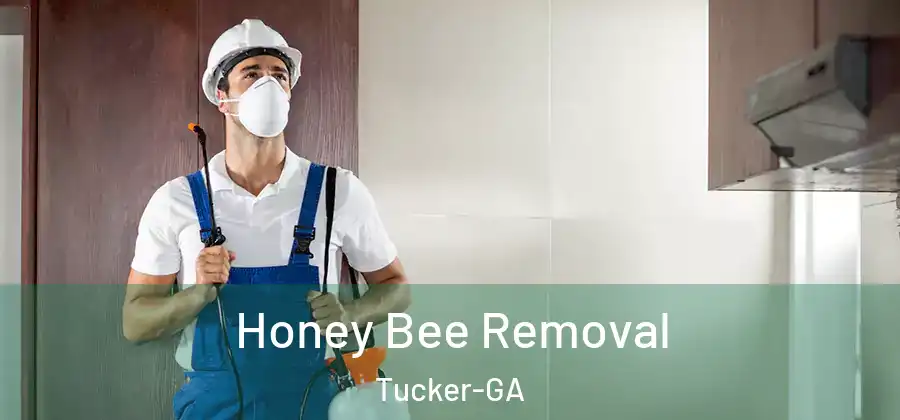 Honey Bee Removal Tucker-GA