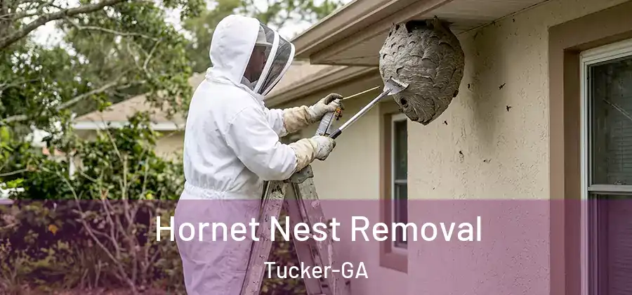  Hornet Nest Removal Tucker-GA