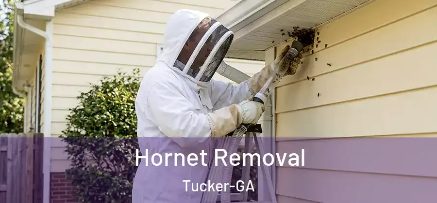  Hornet Removal Tucker-GA