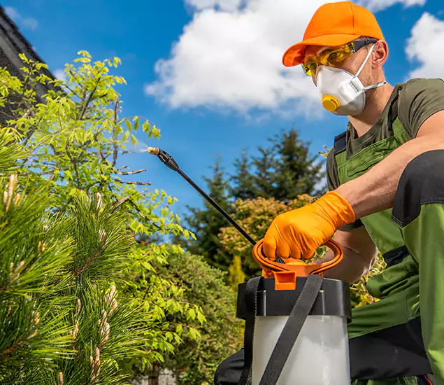 Your Best Bug Spray for Home Team in Tucker, GA