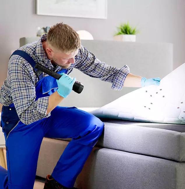 Why Choose Tucker Pest Control Pro For Bed Bug Heat Treatment in Tucker, GA?
