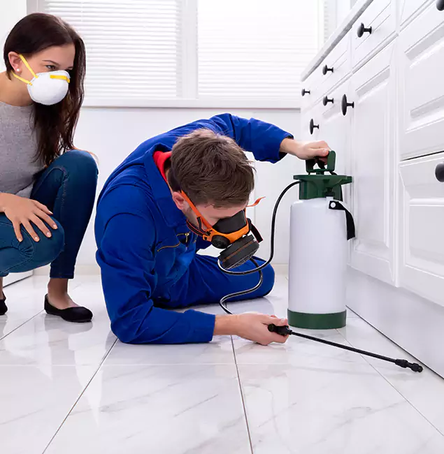 Why Tucker, GA Homeowners Trust Tucker Pest Control Pro for Roach Control?