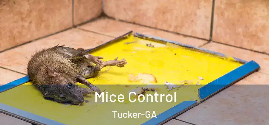  Mice Control Tucker-GA