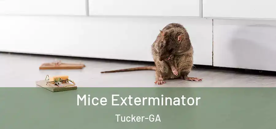  Mice Exterminator Tucker-GA