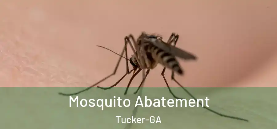  Mosquito Abatement Tucker-GA