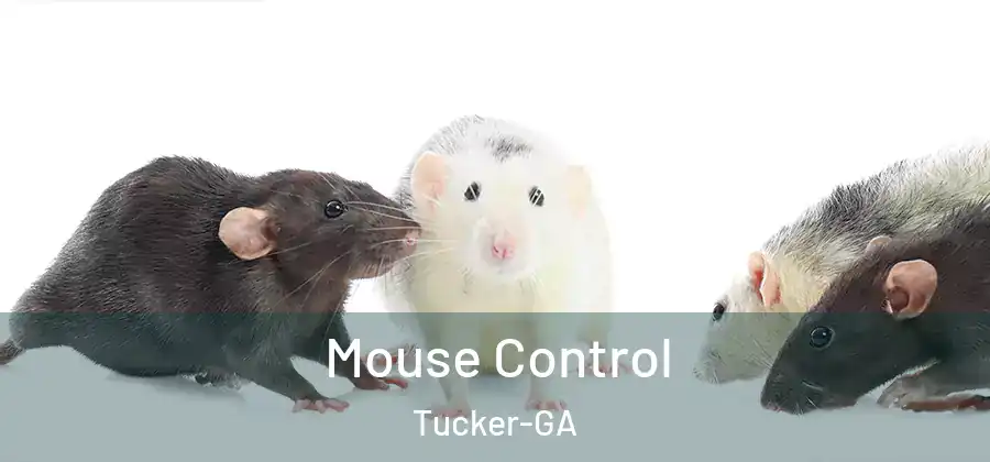  Mouse Control Tucker-GA