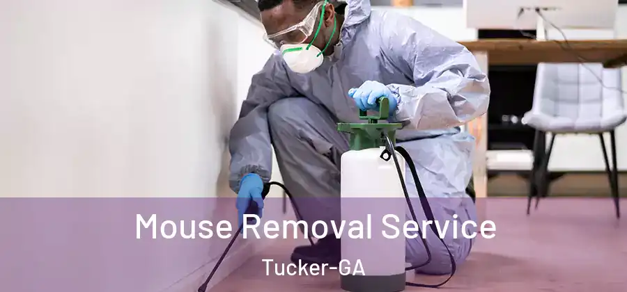Mouse Removal Service Tucker-GA