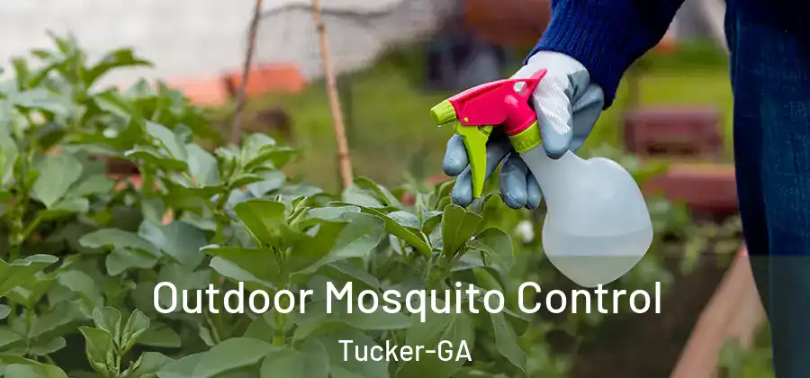  Outdoor Mosquito Control Tucker-GA