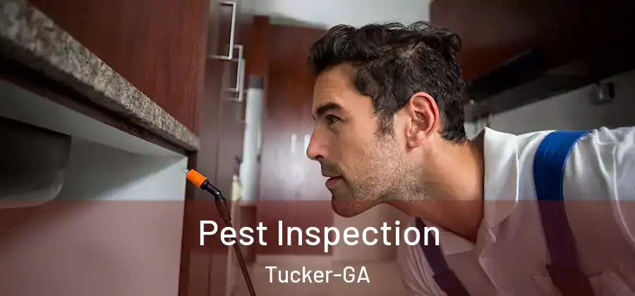 Pest Inspection Tucker-GA