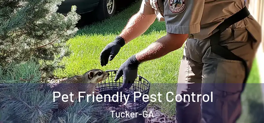Pet Friendly Pest Control Tucker-GA
