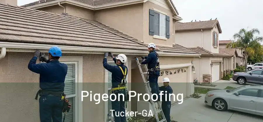  Pigeon Proofing Tucker-GA
