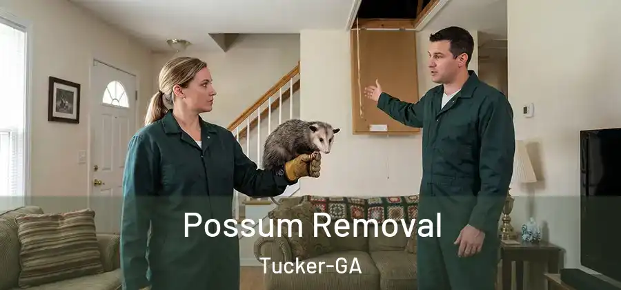 Possum Removal Tucker-GA