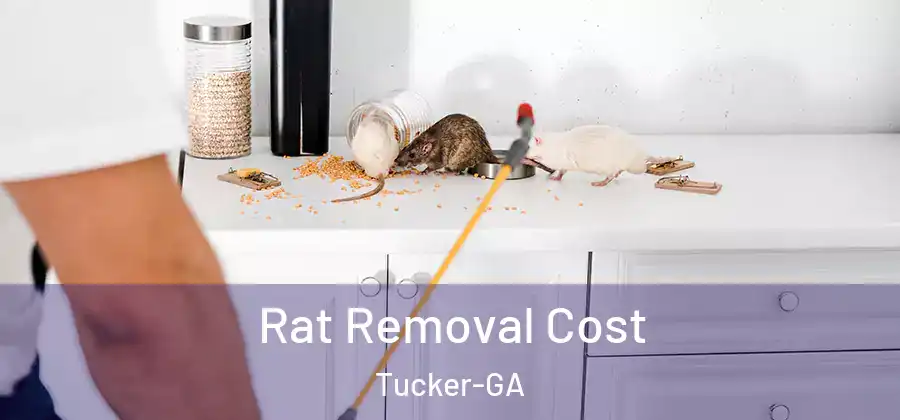  Rat Removal Cost Tucker-GA