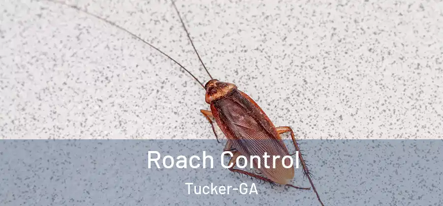 Roach Control Tucker-GA