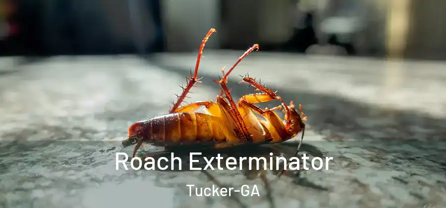  Roach Exterminator Tucker-GA
