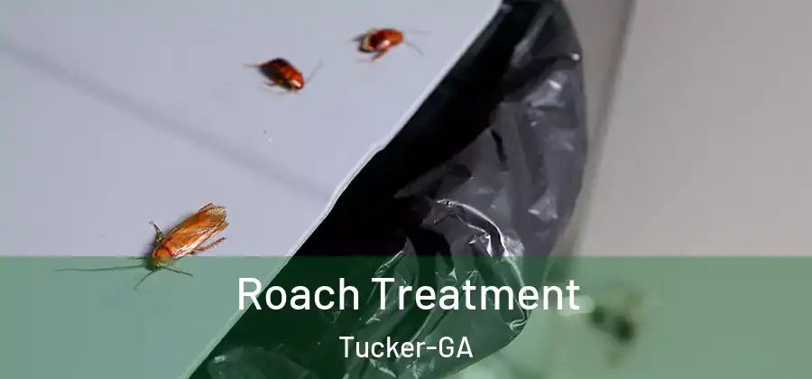 Roach Treatment Tucker-GA