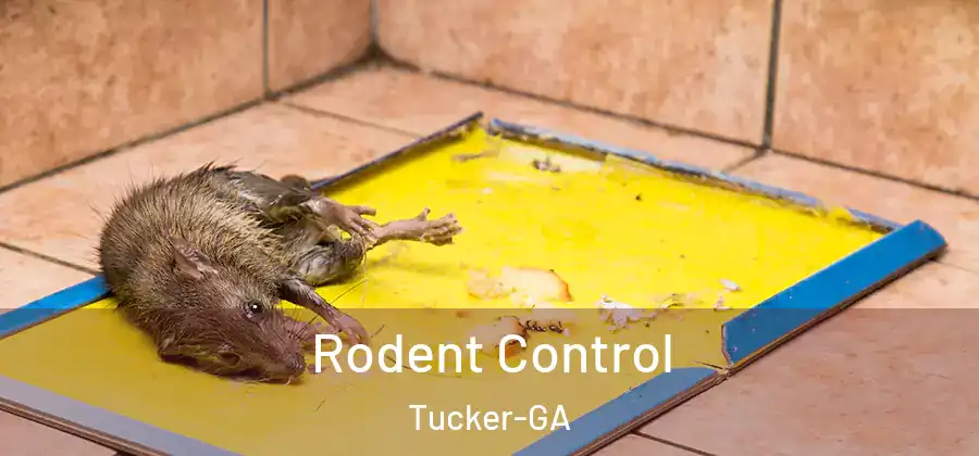  Rodent Control Tucker-GA
