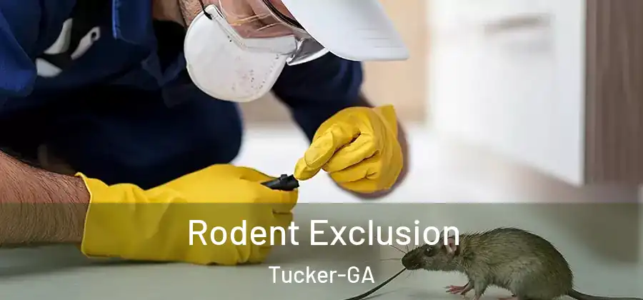 Rodent Exclusion Tucker-GA