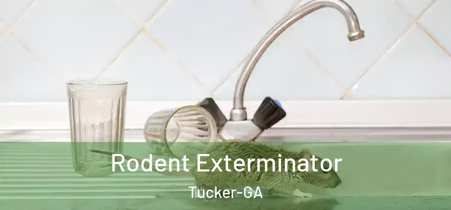  Rodent Exterminator Tucker-GA