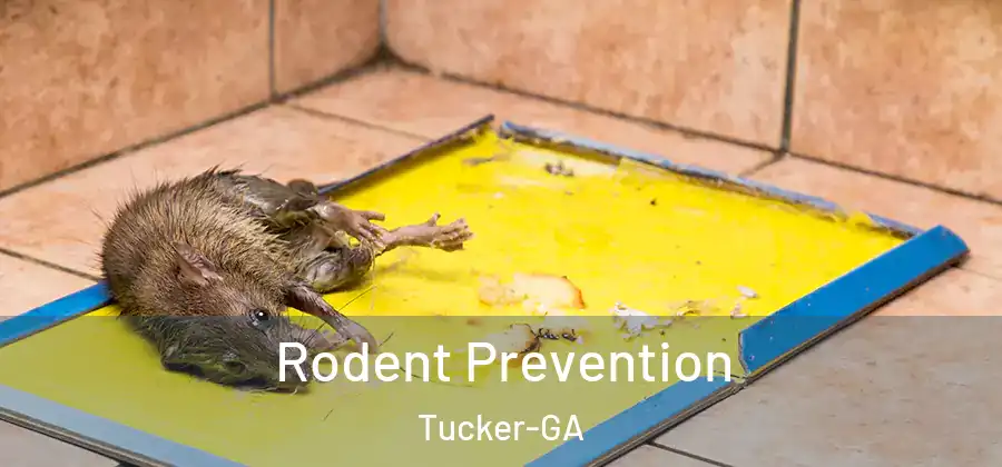 Rodent Prevention Tucker-GA