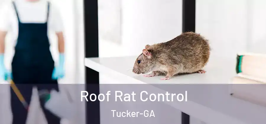 Roof Rat Control Tucker-GA