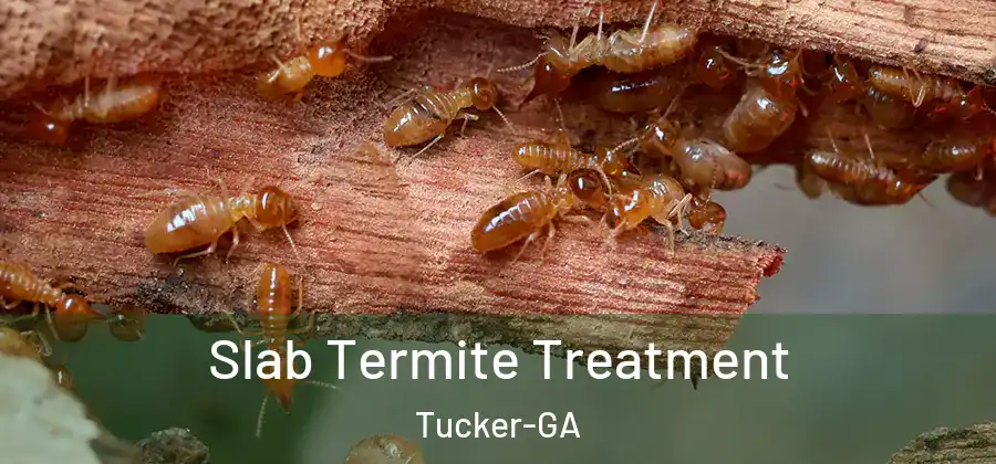  Slab Termite Treatment Tucker-GA